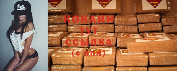хмурый Гусев