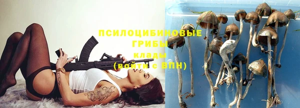 jwh Гусь-Хрустальный
