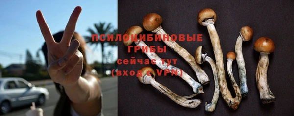 хмурый Гусев
