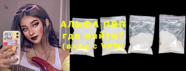 стаф Ессентукская