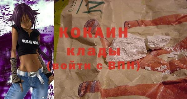 хмурый Гусев